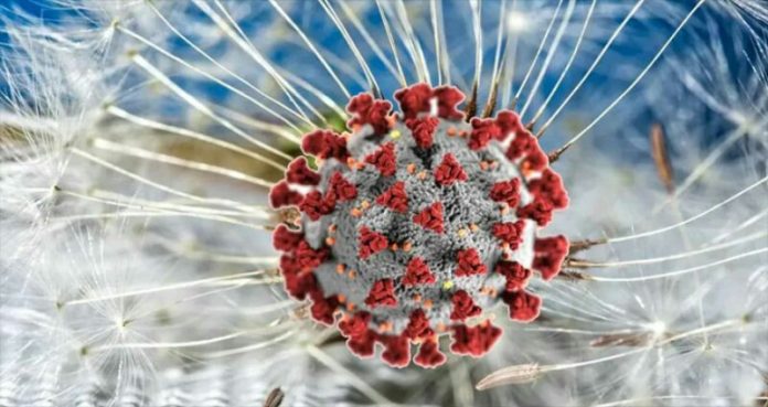 image-181895-1649301550_copy_800x424