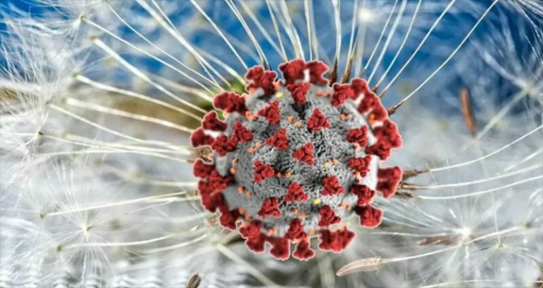 করোনায় আজও মৃত্যুশূণ্য, শনাক্ত ৫১