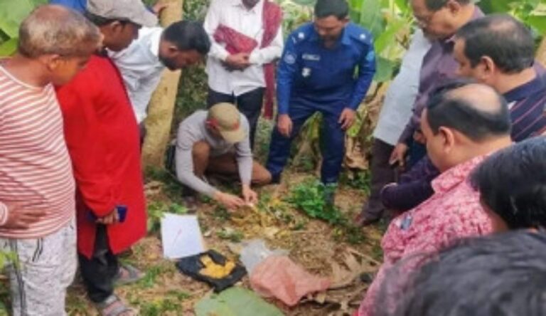 পটিয়ায় ধলঘাট বুড়াকালী মন্দিরে চুরি যাওয়া স্বর্ণালংকার পরিত্যক্ত অবস্থায় উদ্ধার