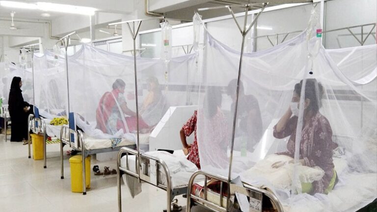 ডেঙ্গুতে ২৪ ঘণ্টায় ২ জনের মৃত্যু