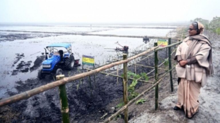 টুঙ্গিপাড়ায় পৈত্রিক জমি পরিদর্শন করলেন প্রধানমন্ত্রী
