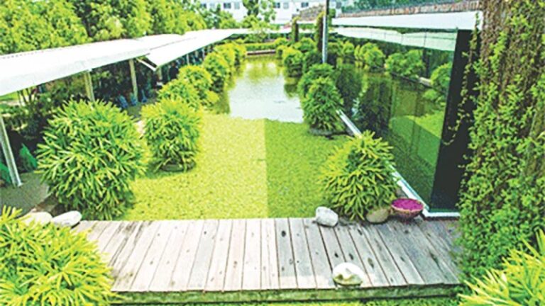 বিশ্বের সেরা ১০০ সবুজ কারখানার মধ্যে ৫০টিই এখন বাংলাদেশের