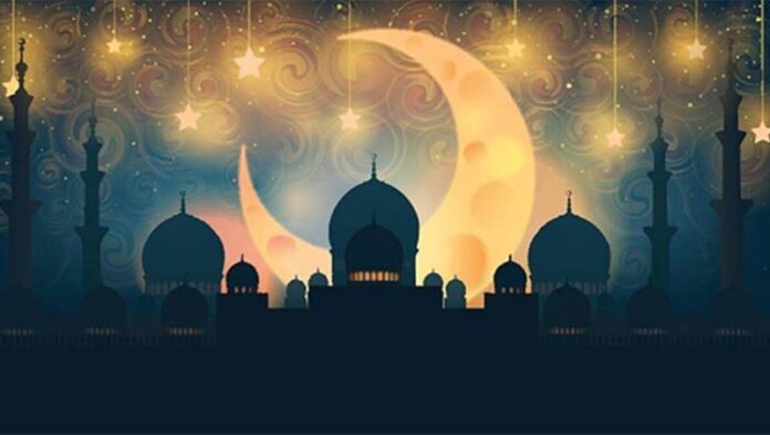 salo_1679493518_copy_800x452_1