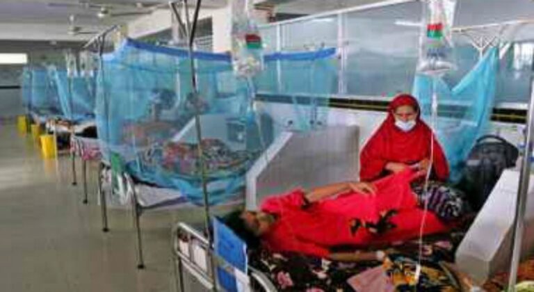 দেশে ডেঙ্গুতে ২ জনের মৃত্যু, হাসপাতালে ভর্তি ৫০০ জন