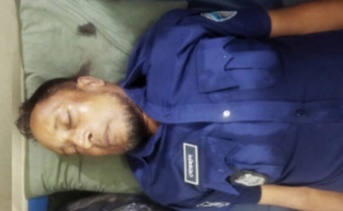 1688798553.88888copy_copy_800x493