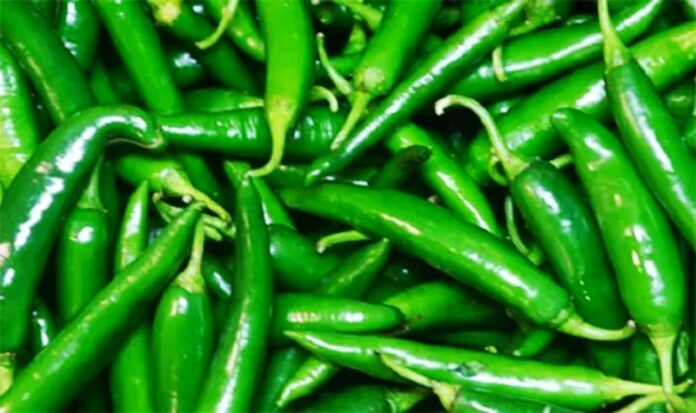 IMG_20230702_044810_copy_800x475