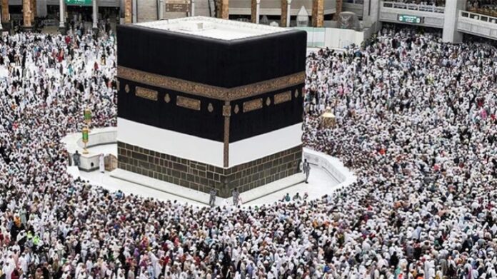 IMG_20230703_044919_copy_800x449