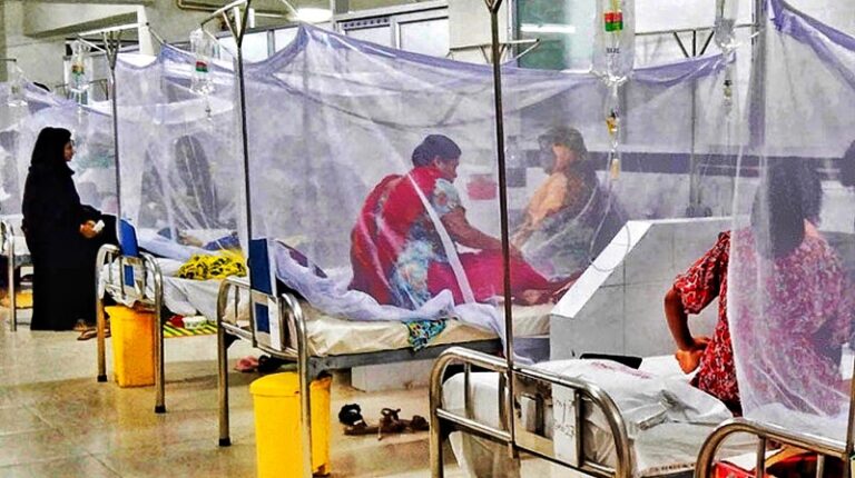 ডেঙ্গুতে ১দিনে আরও ১৫ জনের মৃত্যু, হাসপাতালে ভর্তি সর্বোচ্চ ৩১২৩ জন