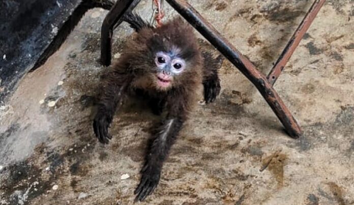 IMG_20230803_135053_copy_800x463