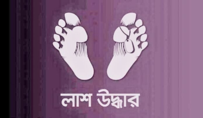 IMG_20230811_223602_copy_800x464