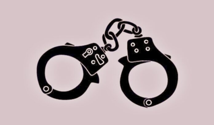 IMG_20230817_035946_copy_800x467