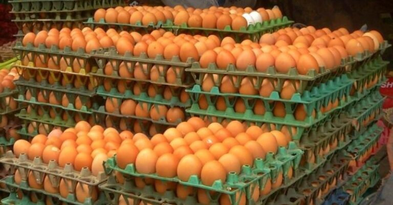 ভারত থেকে ৪ কোটি ডিম আমদানির অনুমতি