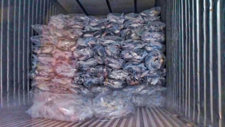 চট্টগ্রাম সদরঘাট নৌ থানা পুলিশের অভিযান: ১৫ লাখ টাকার ইলিশ মাছ জব্দ, গ্রেপ্তার ৬