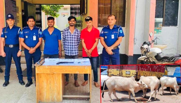 চট্টগ্রামের সীতাকুণ্ডে অস্ত্রসহ ৩ গরু চোর গ্রেপ্তার, ৫ চোরাই গরু উদ্ধার
