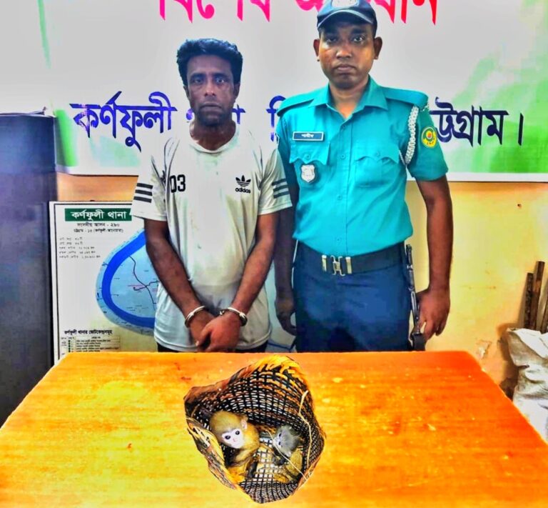 কর্ণফুলী থানা পুলিশের অভিযান: পাচারকালে বিলুপ্ত প্রজাতির ২টি চশমা হনুমান উদ্ধার, গ্রেপ্তার ১