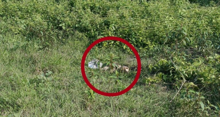 চট্টগ্রামের ফটিকছড়িতে খণ্ডিত মরদেহের পর এবার দেহবিহীন খুলি উদ্ধার